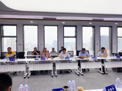 智能建造新材料與新智能技術系列團體標準專家審查會在京召開
